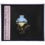 La Vie des insectes. Grands paons autour d'une lampe.