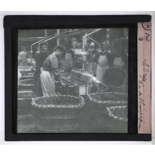 Le Vin de Champagne. Le tirage.