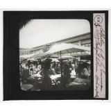 Le Portugal. Lisbonne. Marché aux poissons.