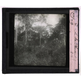 Les Ruines d'Angkor. Le Ba-Phuon.