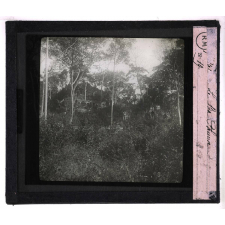 Les Ruines d'Angkor. Le Ba-Phuon.