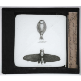 Les Moyens de défense des insectes. Binocle à queue en plumet, Forme adulte du binocle à queue. 