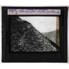 L'Action des glaciers. Banquettes contre avalanches.