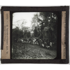 Colonies Dahomey. Alladah. Caravane sous bois.
