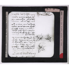 L'Art de voler chez nos ancêtres - Léonard de Vinci, constructeur d'aéroplanes. Vol à tire d'ailes, action du vent.