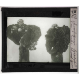 Les Plantes saprophytes, mutualistes et parasites. Champignon parasite d'un autre champignon.