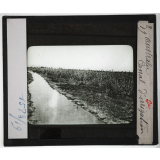 Australie Série II. Géographie humaine et économique. Canal d'irrigation.