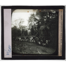 Le Dahomey. Géographie physique - Flore et faune. Alladah. Caravane sous bois.