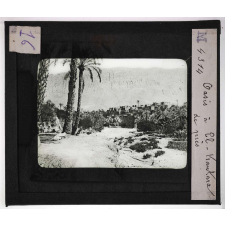 Cultures diverses. Oasis à El-Kantara de près.
