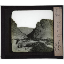 Algérie. Oasis à El Kantara.