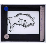 Art paléolithique. Bison de Niaux.
