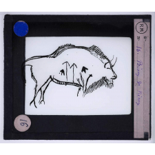 Art paléolithique. Bison de Niaux.