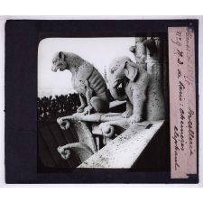 La Sorcellerie et les sorciers. N.D. de Paris : Chimères éléphant.