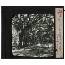 Etats-Unis. Régions Atlantique nord et sud. Savannah (Georgia) Entrée du Cimetière de Bonaventure.