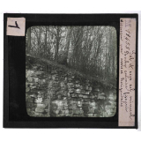 Forêts de France. Feuillus et résineux. Sol et sous-sol minéral, Roche calcaire fissurée disposée par assises horizontales.