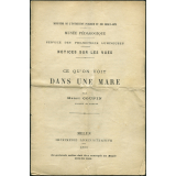 Ce qu'on voit dans une mare. Notices sur les vues. 