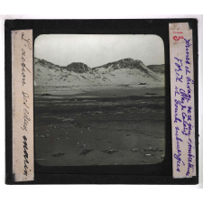 L'Action des eaux marines. Dunes et rivages de la baie d'Ambleteuse (Pas-de-Calais).  Forêt et tourbe submergées.