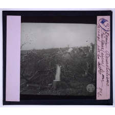 Dévastations. Près Vaux (Aisne), parc saccagé par les Allds.