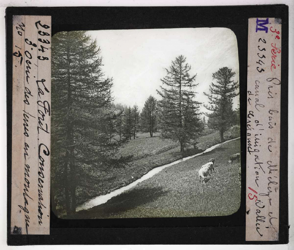 Conservation des terres en montagne et sur les pentes. Action de la forêt sur le sol et sur le régime des eaux, pâturages, prés, bois, correction des torrents. Prés bois de Mélèzes et canal d'irrigation. Crésaux (Hautes-Alpes).