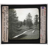 Conservation des terres en montagne et sur les pentes. Action de la forêt sur le sol et sur le régime des eaux, pâturages, prés, bois, correction des torrents. Prés bois de Mélèzes et canal d'irrigation. Crésaux (Hautes-Alpes).