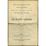 Les Plantes curieuses. Notices sur les vues.