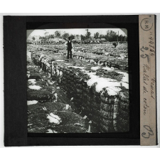 Etats-Unis. Régions centre, Nord et Sud. Texas. Balles de coton.
