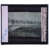 La Bataille de la Marne. Le théâtre des combats de 1915. Soldat en permission labourant le champ.