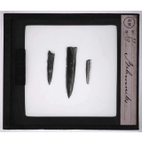 Les Animaux disparus. Bélemnites.