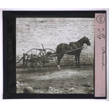 Machines agricoles. Faneuse.