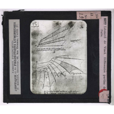 L'Art de voler chez nos ancêtres - Léonard de Vinci, constructeur d'aéroplanes. Différentes parties de l'aile.