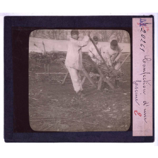 Les Travaux du génie dans un régiment de sapeurs mineurs. I. Fascinages, passerelles, ponts. Confection d'une fascine.