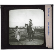 Sahara. Fauconnier.