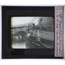 La Peste. Plaques de zinc pour empêcher les rats d'envahir les navires.