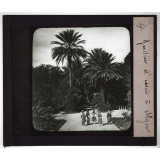 Algérie. Série I. Le pays et les indigènes. Jardin d'essai à Alger.