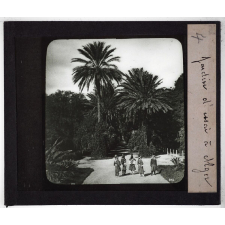 Algérie. Série I. Le pays et les indigènes. Jardin d'essai à Alger.