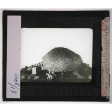 Les Fossiles de l'ère tertiaire et de l'ère quaternaire. Glyptodon. Squelette avec carapace.