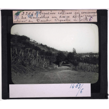 La Roumanie. Premières collines qui commencent les Carpathes au dessus de la grande plaine du Danube Vignobles et forêts.
