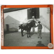 Algérie, agriculture. Pulvérisateur à Bât.
