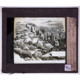 Guerre des Boërs. Les Gordon Hightlanders. Marche vers Elandslaagte.