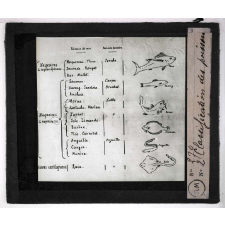 La Pêche maritime en France. Classification des poissons.