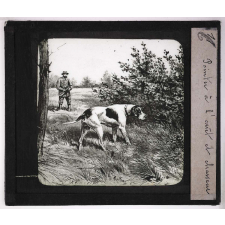 La Chasse. Pointer à l'arrêt et chasseur.