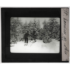 Vosges. Exercices de skis.