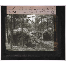 Le Relief du sol (Origines et formes du modèle terrestre). Arbres et rochers. Forêt de Fontainebleau.