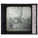 Chasse au moyen et au petit gibier africain du Mozambique. Bubale de Lichteinstein.