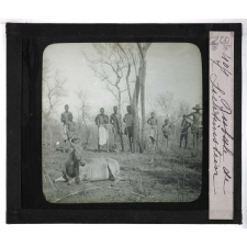 Chasse au moyen et au petit gibier africain du Mozambique. Bubale de Lichteinstein.