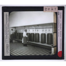 Sérothérapie. Préparation des divers sérums de l'Institut Pasteur de Paris. Tyndallisation du sérum.