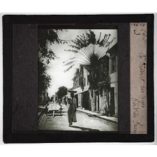 Guadeloupe, Martinique. A travers les rues. Fort de France.