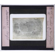 Le Microscope. Ce qu'il permet de voir dans le corps humain. Bacille de la phtisie dans le poumon.