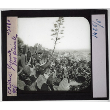 Cordoue, Grenade, Murcie, Cadix, Gibraltar. Grenade - vue générale.