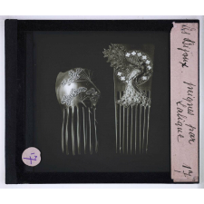Les Bijoux au XIXè siècle. Peignes par Lalique.